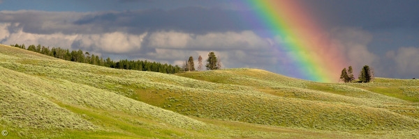 Regenbogen